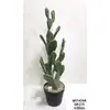 Cactus Pilares de Dragón Simulados Cactus Parásito Planta del Desierto Marroquí Decoración Suave para Paisajismo Modelo Decoración de Proyectos