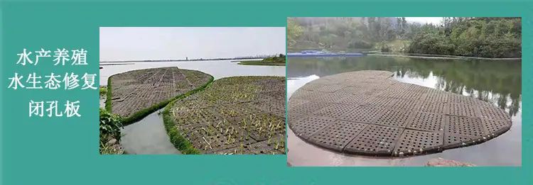 水产养殖闭孔板