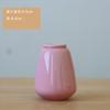 Fabricante de Jingdezhen Venta al por mayor Mini Jarrón de Cerámica Color Morandi Pequeño Soporte para Flores de Mesa Maceta Hidropónica