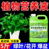 Solución nutritiva para plantas, tipo universal para plantas verdes, bambú de la suerte, árbol del dinero, suculentas, flores hidropónicas, plantas verdes, plantas en maceta y fertilizante para flores