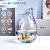 6BVQ Tanque de Peces Pequeño para Oficina Vidrio Transparente Engrosado Tanque para Tortugas Sala de Estar Hogareño Escritorio Redondo Biselado Pequeño Dorado