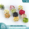 Fraldas para Esquilos, Fraldas Laváveis, Suprimentos para Passeio, Treinamento, Limpeza, Absorção de Água, Suprimentos para Pequenos Animais