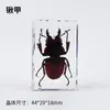 Especímenes Reales de Insectos en Resina, Manualidades y Decoraciones, Regalos para Niños para la Temporada de Regreso a Clases, Juguetes de Ciencia para Niños y Niñas