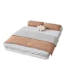 Cama flutuante de ferro forjado, design moderno simples, espessada e reforçada, cama de casal para quarto principal, cama de solteiro econômica, estrutura de cama de aço carbono