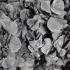 Fábrica atacado materiais de flores frescas materiais grande folha hortênsia para sempre flor novo Tanabata presente de aniversário do dia dos namorados