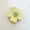 YHJ Accesorios para el Cabello Clip de Pinza de Girasol Europeo y Americano Pasador de Flor de Huevo para Vacaciones en la Playa Pinza de Tiburón para el Cabello de Mujer Tocado Pinza para el Cabello