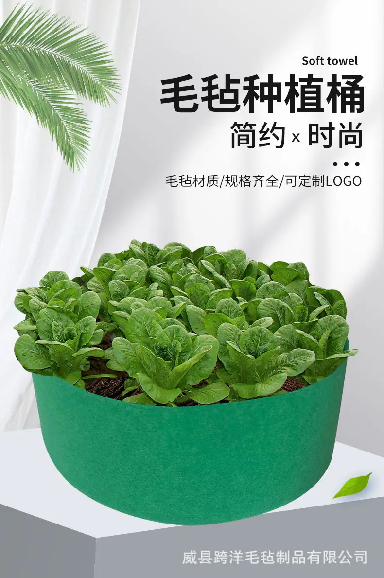 详情_03.jpg