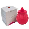 Dispositivo de sucção de flor de rosa para prazer transfronteiriço, ovo vibratório, masturbador feminino de lambida de língua, provocador íntimo de mamilos, brinquedo sexual
