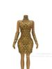 Vestido Sexy de Malla con Pedrería y Lentejuelas Plateadas Brillantes, con Guantes, para Usar En..
