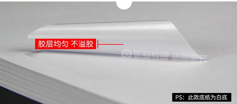 2018乐标A4描述8（亚面分切）