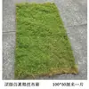 Césped de Musgo, Musgo Artificial, Adornos para Micro-Paisajes, Jardinería de Césped, Bonsái, Embellecimiento de Aceras, Fabricante de Paisajismo