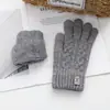 Luvas de Lã Tricotadas Personalizadas de Imitação de Caxemira, Forradas com Fleece e Espessadas para Aquecimento, Luvas Versáteis à Prova de Frio para Uso Externo com Tela Sensível ao Toque