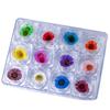Nuevo Arte de Uñas Flor Seca Set de 12 Cajas Decoraciones para Arte de Uñas Pétalos de Color Decoración de Uñas Calcomanías de Joyería DIY