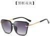 Oulaiou6043 gafas de sol de moda gafas de sol anti ultravioleta gafas de sol para damas de comercio exterior europeas y americanas