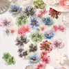Moyuan & Dream Dance Serie Floral Dream Paquete de Pegatinas PET con Lámina Dorada 20 Pegatinas de Tamaño Grande para Decoración de Diario