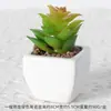 Suculentas Simuladas Personalizadas Cerámica Bonsái Plantas Verdes Escandinavas Adornos Hogar Interior Sala de Estar Flores Falsas Suculentas Plantas en Maceta