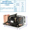 Enfriador pequeño Rainbow QD30W 220V refrigeración agua circulante compresor de microrefrigeración kit DIY