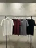 Agente de Compras Coreano Dongdaemun Camiseta Básica Versátil de Manga Corta de Color Sólido Moda Femenina 2025