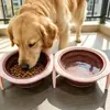 Tigelas para Pets de Alta Qualidade Vendidas Diretamente pelo Fabricante, Fofos Suprimentos para Pets Multicor, Tigelas para Cachorros