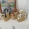 Bolsos con Diseños de Nicho, Bolsos de Mano de Paja para Mujer, Nuevos Bolsos de Playa de Verano 2026, Bolsos Tejidos de Moda, Bolsos Cruzados