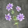 Dália de 4 Cabeças Simulada Decoração de Casamento para Casa Crisântemo Feito à Mão Adereços de Fotografia Ornamentos de Flores Falsas Atacado
