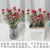 Gipsófila Rosa Ramo Seco Real de Año Nuevo Flor Eterna Decoración de Oficina Accesorios para el Hogar Estilo Ins Escandinavo