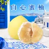 Pomelo miel de carne blanca de Zhangzhou, Fujian, envío directo 4.5/ 4.5 kg fruta grande, dulce y refrescante, pomelo fresco de temporada, fruta fresca
