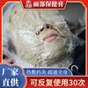 Crema de Moxibustión Caliente Facial Wanyitang Cuidado de la Salud Herbal Compresa Caliente Cuidado de la Belleza Fabricante Original Calentamiento Corporal Terapia de Calor Protección contra el Frío Artemisa