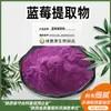 Polvo de Fruta de Arándano Fácilmente Soluble en Agua, Al por Mayor en Stock, 30:1/50:1 Especificaciones Extracto de Arándano, Materia Prima para Bebidas Sólidas