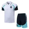 2627 Manga Corta Kit de Fútbol Alemán Argentina Kit de Fútbol para Adultos España Conjunto para Adultos Camisa Polo con Pantalones Cortos