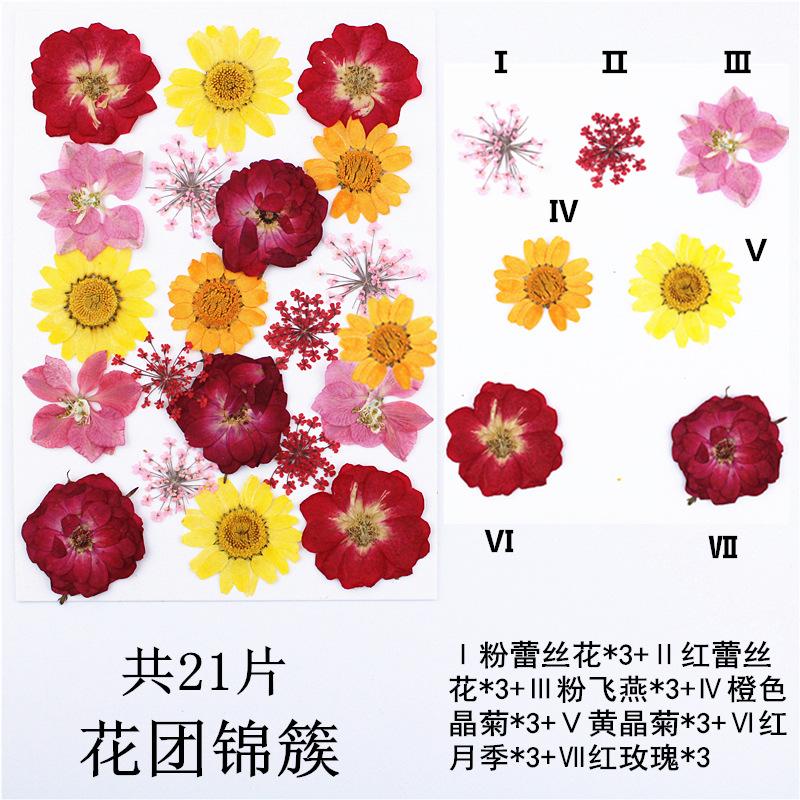 IMG_4117_副本_副本_副本.jpg