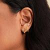 Moda europea y americana incrustada circonita mariposa flor oro real 14k aretes set de tres piezas aretes sentido de alta gama para mujer