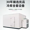 Almacenamiento en Frío de Cubitos de Hielo Equipo Completo Almacenamiento Fresco Congelador Congelación Rápida Almacenamiento en Frío Unidad de Refrigeración Almacenamiento en Frío Móvil Fabricante