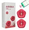 Pinças para Mamilos em Formato de Flor Produtos para Adultos Femininos Brinquedos Eróticos Adesivos para Mamilos Massageador de Seios Brinquedos Pequenos Sm Atacado Dropshipping Z