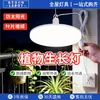 Luz de Crecimiento para Plantas para Invernaderos, Verduras y Flores, Lámpara LED para Plantas Verdes de Interior, Luz de Crecimiento de Jardín de Espectro Completo Similar a la Luz Solar