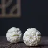Adorno de Mano de Bola de Dragón y Fénix de Fruta Marfil, Bola de Salud Auspiciosa de Dragón y Fénix, Bola Auspiciosa de Elefante Pixiu, Bola Sólida Portátil para Jugar