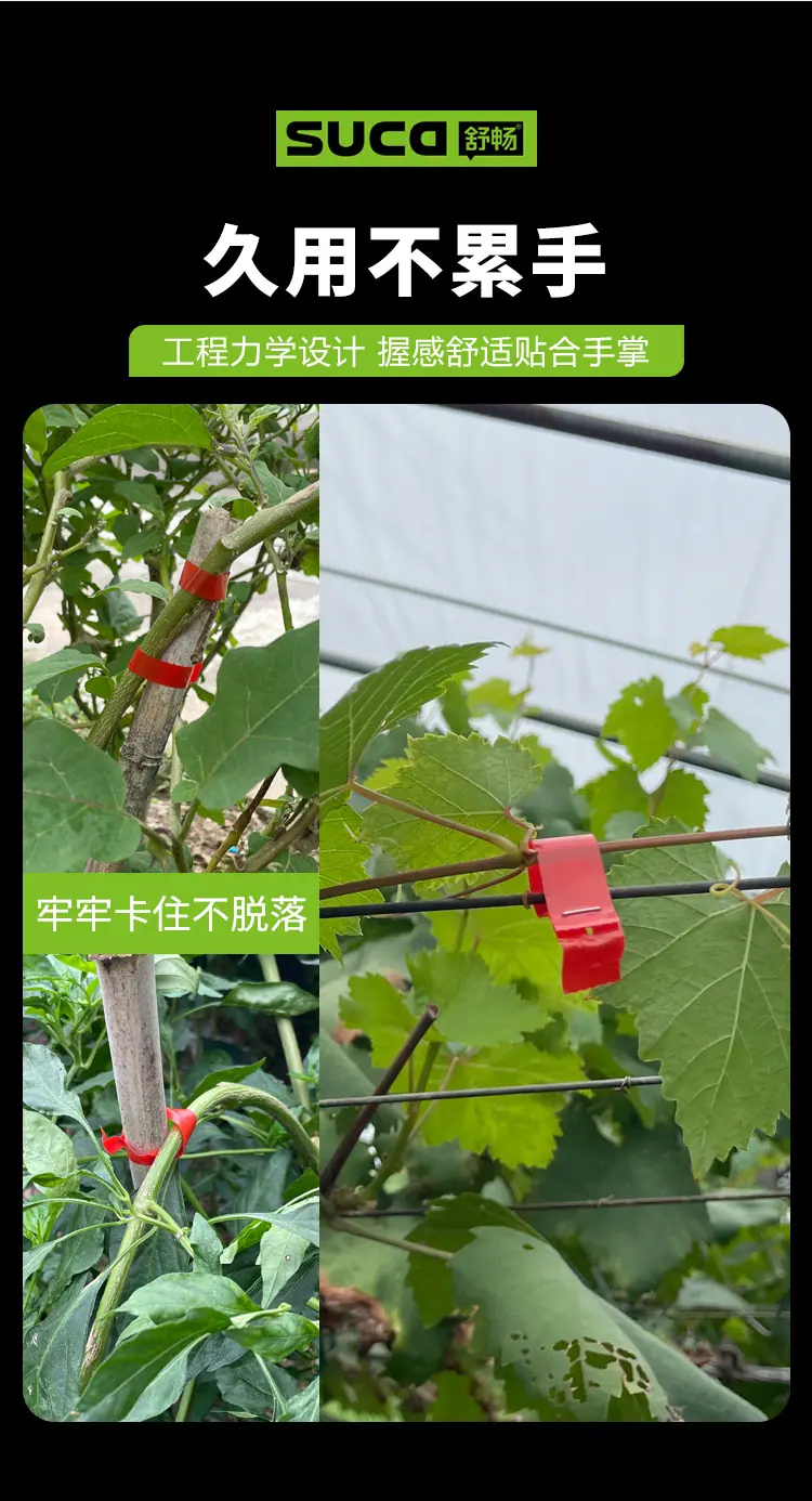 8104黄_04.jpg