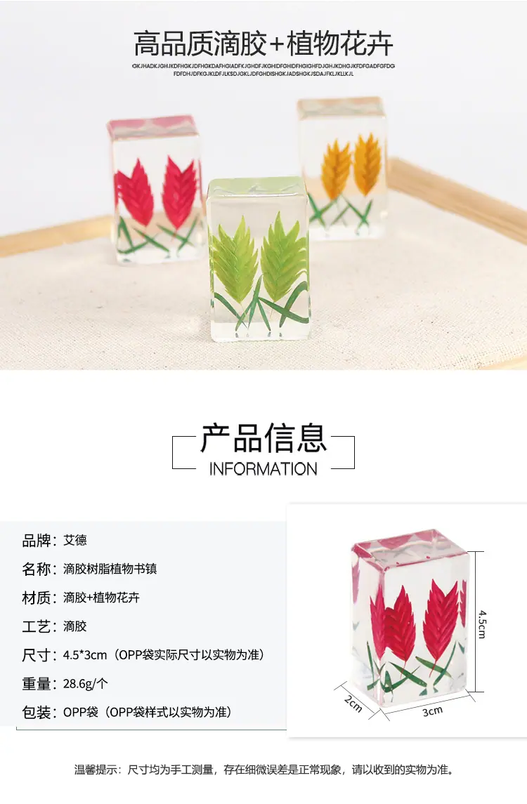 艾德_03.jpg