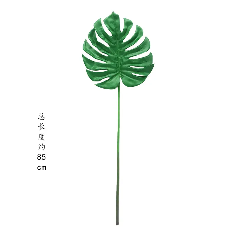 未标题-4_副本