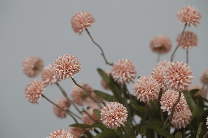 _MG_7748.jpg