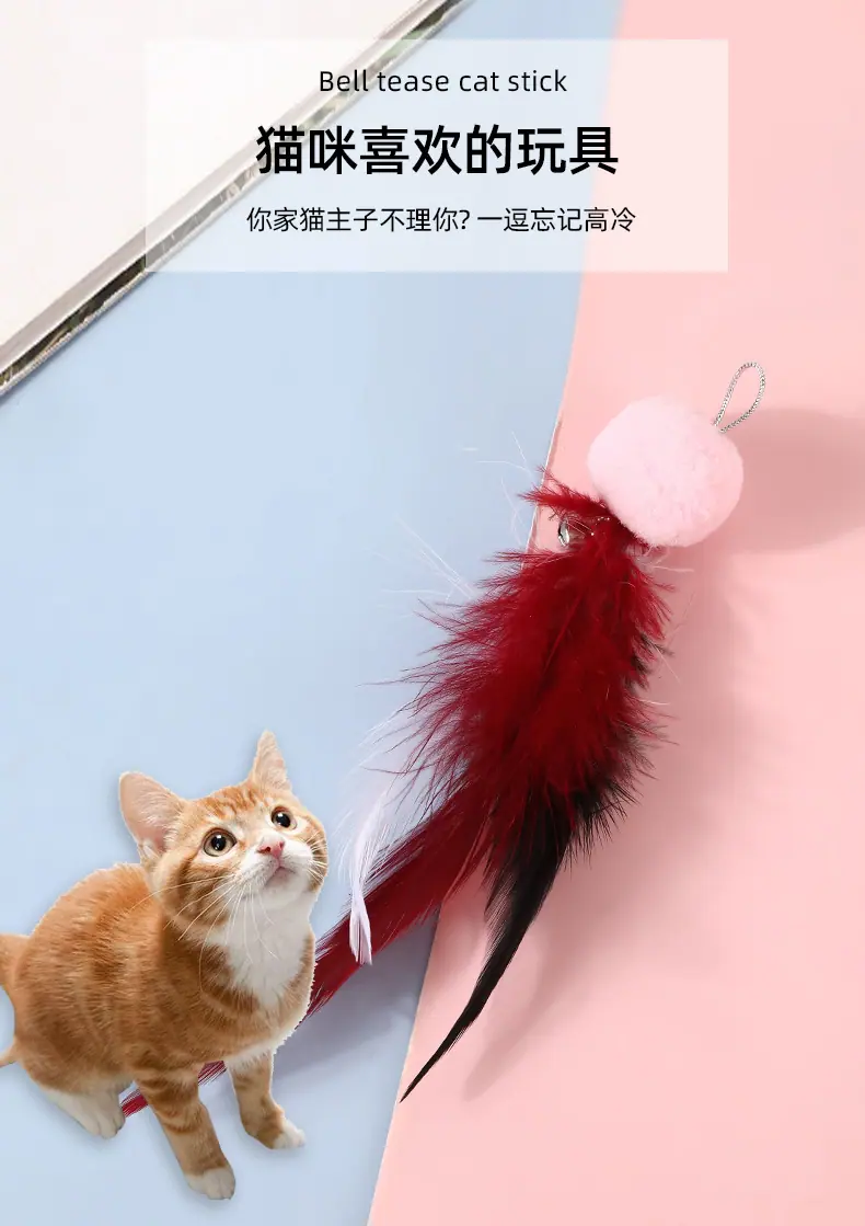 猫玩具-恢复的_06.jpg