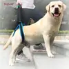 Suprimentos para Animais de Estimação Cão Assistente Portátil Fita para Idosos Deficientes Feridos Patas Traseiras Fita para Cães para Animais de Estimação Subir Escadas Fita para Caminhar