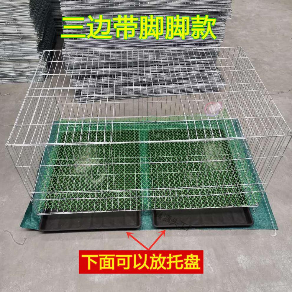 a11617e1-0cb7-4a85-a448-47a0286836ee.jpe