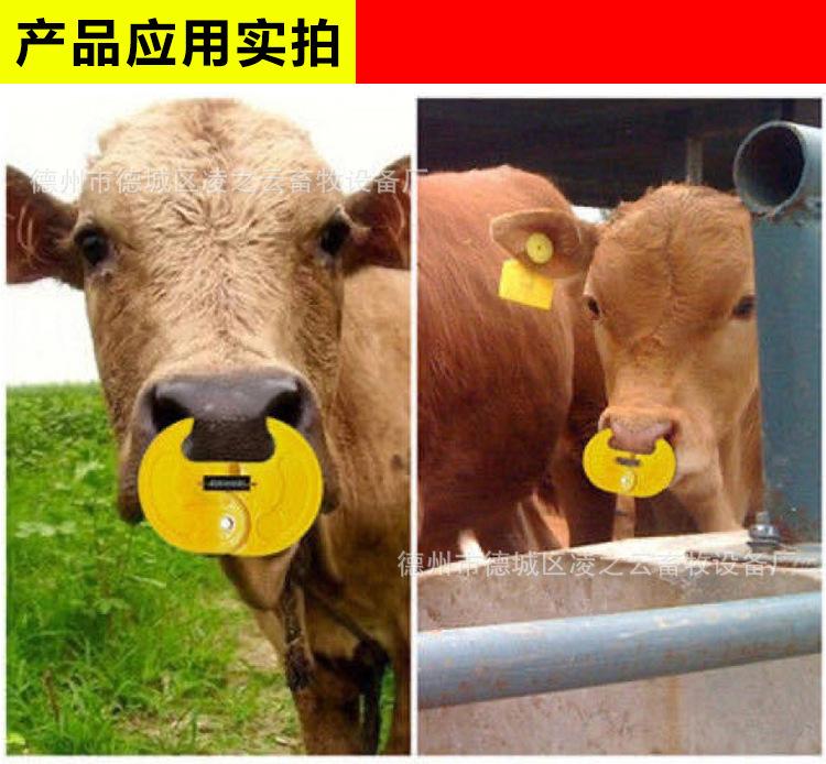 详情_02