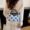 Bolso de lunares estilo coreano, bolso de hombro de lujo de nicho, moda otoño e invierno 2026, elegante bolso cruzado para el hombro y debajo del brazo para el trabajo