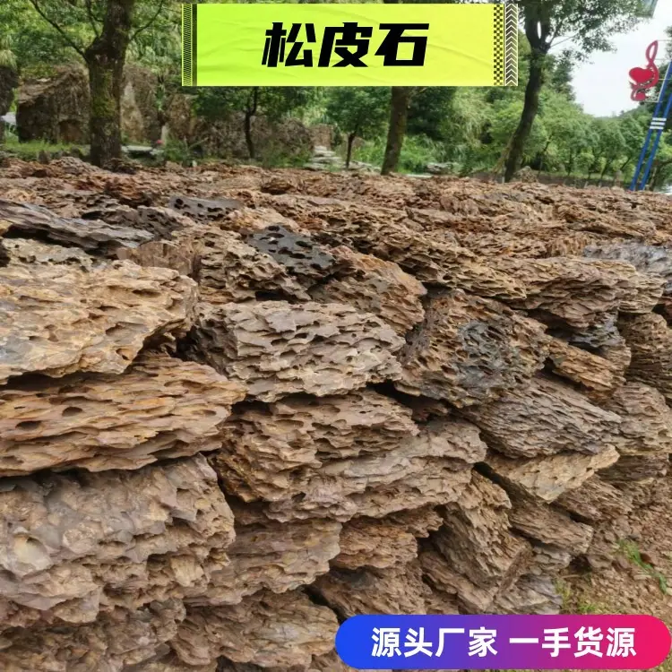 微信图片_20221111164916_副本