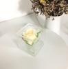 Caja Transparente de Acrílico para Rosas con Tapa 7º Día de San Valentín Caja de Regalo Boda Confesión Sello de Regalo