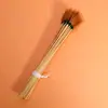 Palito de Pena de Ganso para Limpar Ouvidos, Colher de Ouvido Criptografada para Limpar Ouvidos, Ferramenta Profissional para Limpar Ouvidos, Suprimentos para Banho de Pés e Sauna