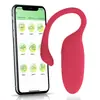 Sexo Transfronterizo en el Cuerpo, Control Remoto para Uso al Aire Libre, Rebote de Vibración Fuerte, Juguete para el Orgasmo Femenino, Juguete Sexual para Adultos