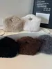 Bolso de felpa de nicho de alta gama para mujer, nuevo y moderno 2026, bolso cruzado versátil de imitación de lana de cordero